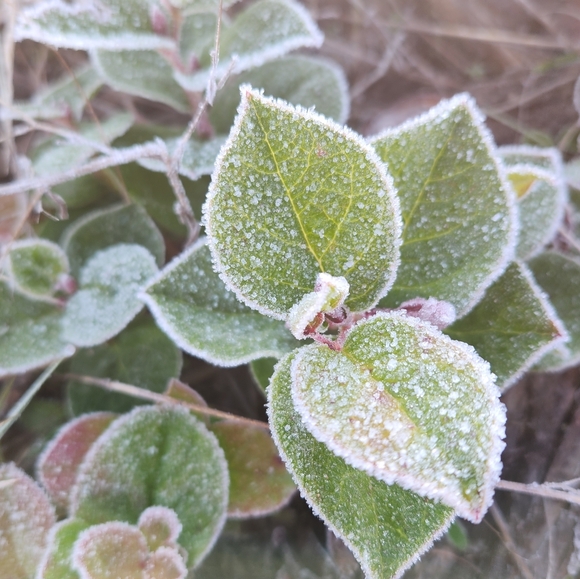 WINTER LIQUIDATION SALE!!! Offers welcome! 🎄☯️🎁🕎 - Picture 1 of 1